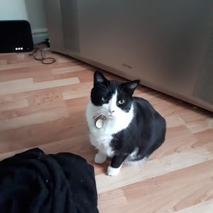 Meet your Posher, Robin